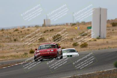 media/May-03-2025-Lucky Dog Racing (Sat) [[206de64b9d]]/Turn 6 (150pm-230pm)/